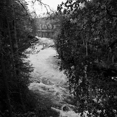 Aava Ruka